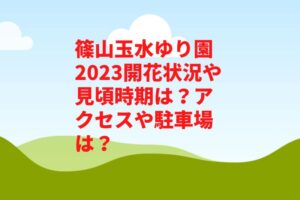 篠山玉水ゆり園2023開花状況や見頃時期は？アクセスや駐車場は？