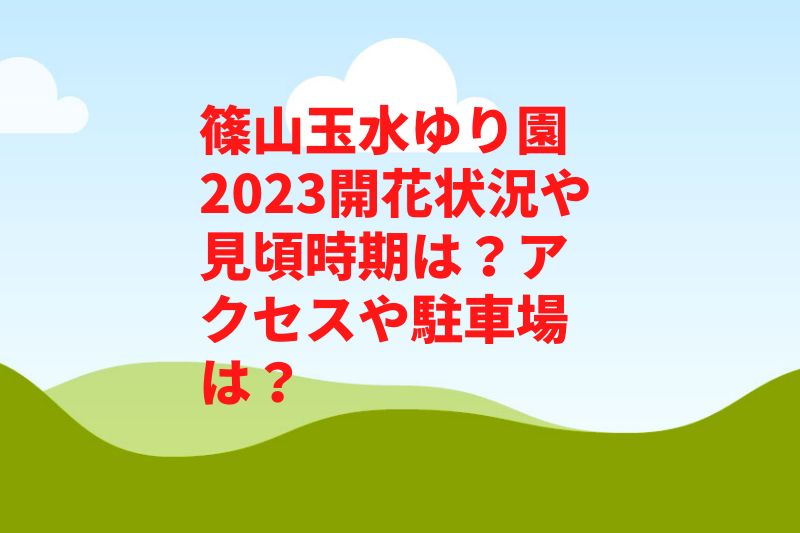 篠山玉水ゆり園2023開花状況や見頃時期は?アクセスや駐車場は?