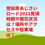 世知原あじさいロード2023見頃時期や開花状況は？場所やアクセスや駐車場は？