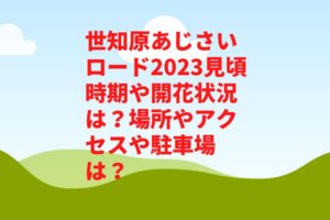 世知原あじさいロード2023見頃時期や開花状況は?場所やアクセスや駐車場は?
