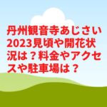 丹州観音寺あじさい2023見頃や開花状況は？料金やアクセスや駐車場は？