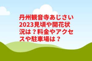 丹州観音寺あじさい2023見頃や開花状況は？料金やアクセスや駐車場は？