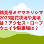 鶴見岳ミヤマキリシマ2023開花状況や見頃は？アクセス・ロープウェイや駐車場は？