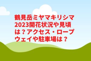 鶴見岳ミヤマキリシマ2023開花状況や見頃は?アクセス・ロープウェイや駐車場は?
