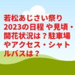 若松あじさい祭り2023の日程や見頃・開花状況は？駐車場やアクセス・シャトルバスは？