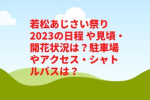 若松あじさい祭り2023の日程や見頃・開花状況は？駐車場やアクセス・シャトルバスは？