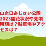 山之口あじさい公園2023開花状況や見頃時期は？駐車場やアクセスは？