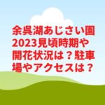 余呉湖あじさい園2023見頃時期や開花状況は？駐車場やアクセスは？