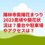 陽林寺紫陽花まつり2023見頃や開花状況は？屋台や駐車場やアクセスは？