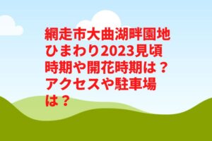 網走市大曲湖畔園地ひまわり2023見頃時期や開花状況は?アクセスや駐車場は?