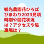 観光農園花ひろばひまわり2023見頃時期や開花状況は？アクセスや駐車場は？