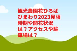 観光農園花ひろばひまわり2023見頃時期や開花状況は?アクセスや駐車場は?