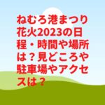 ねむろ港まつり花火2023の日程・時間や場所は？見どころや駐車場やアクセスは？　
