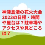神津島渚の花火大会2023の日程・時間や屋台は？駐車場やアクセスや見どころは？　
