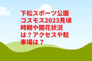 下松スポーツ公園コスモス2023見頃時期や開花状況は？アクセスや駐車場は？　