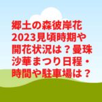 郷土の森彼岸花2023見頃時期や開花状況は？曼珠沙華まつり日程・時間や駐車場は？　