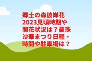 郷土の森彼岸花2023見頃時期や開花状況は？曼珠沙華まつり日程・時間や駐車場は？　