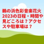 鵜の浜色彩音楽花火2023の日程・時間や見どころは？アクセスや駐車場は？　　