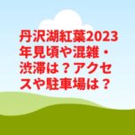 丹沢湖紅葉2023年見頃や混雑・渋滞は？アクセスや駐車場は？