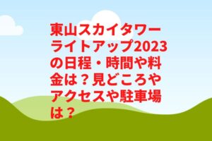 東山スカイタワーライトアップ2023の日程・時間や料金は?クリスマスツリー等見どころやアクセスや駐車場は?
