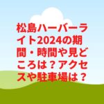 松島ハーバーライト2024の期間・時間や見どころは？アクセスや駐車場は？　
