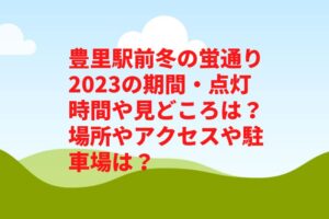 豊里駅前冬の蛍通り2023の期間・点灯時間や見どころは？場所やアクセスや駐車場は？　