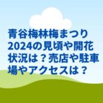 青谷梅林梅まつり2024の見頃や開花状況は？売店や駐車場やアクセスは？