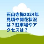 石山寺梅2024年見頃や開花状況は？駐車場やアクセスは？