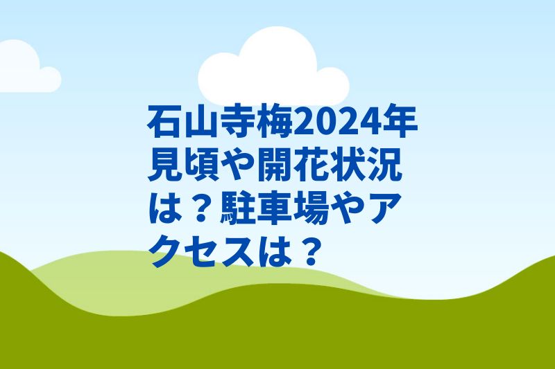 石山寺梅2024年見頃や開花状況は？駐車場やアクセスは？