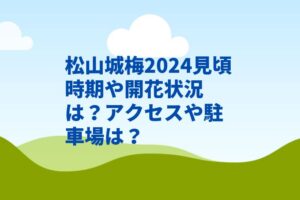 松山城梅2024見頃時期や開花状況は？アクセスや駐車場は？　