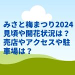 みさと梅まつり2024見頃や開花状況は？売店やアクセスや駐車場は？