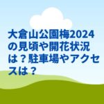大倉山公園梅2024の見頃や開花状況は？駐車場やアクセスは？