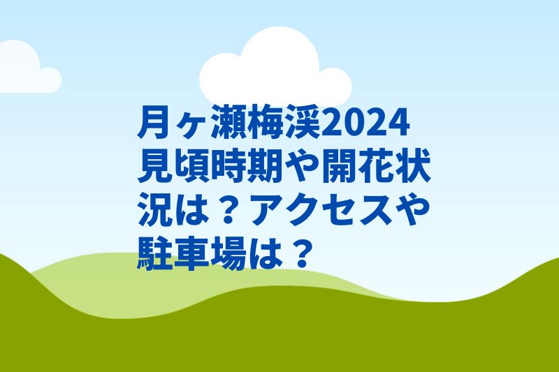 月ヶ瀬梅渓2024見頃時期や開花状況は？アクセスや駐車場は？