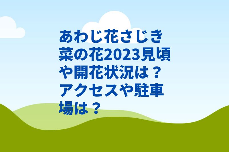 あわじ花さじき菜の花2024見頃や開花状況は？駐車場やアクセスは？