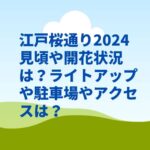 江戸桜通り2024見頃や開花状況は？ライトアップや駐車場やアクセスは？