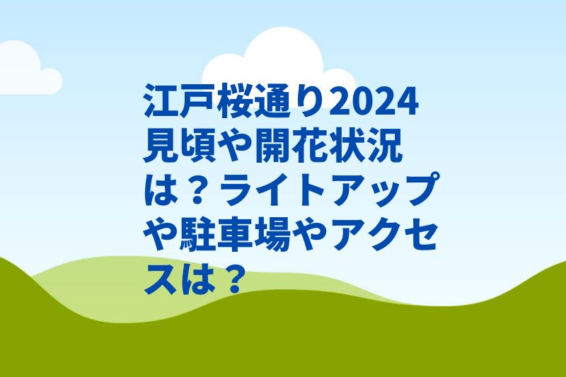 江戸桜通り2024見頃や開花状況は？ライトアップや駐車場やアクセスは？