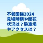 不老園梅2024見頃時期や開花状況は？駐車場やアクセスは？