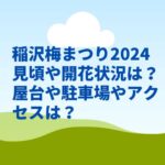 稲沢梅まつり2024見頃や開花状況は？屋台や駐車場やアクセスは？