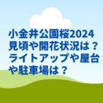 小金井公園桜2024見頃や開花状況は？ライトアップや屋台や駐車場は？