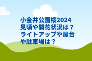 小金井公園桜2024見頃や開花状況は?ライトアップや屋台や駐車場は?