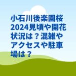 小石川後楽園桜2024見頃や開花状況は？混雑やアクセスや駐車場は？