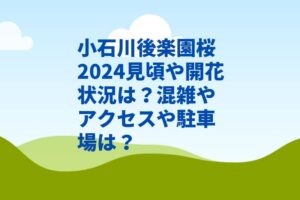 小石川後楽園桜2024見頃や開花状況は？混雑やアクセスや駐車場は？