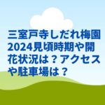 三室戸寺しだれ梅園2024見頃時期や開花状況は？駐車場やアクセスは？