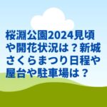 桜淵公園2024見頃や開花状況は？新城さくらまつり日程や屋台や駐車場は？