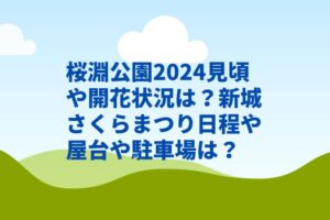 桜淵公園2024見頃や開花状況は？新城さくらまつり日程や屋台や駐車場は？