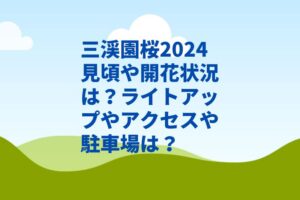 三渓園桜2024見頃や開花状況は？ライトアップや駐車場やアクセスは？