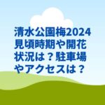 清水公園梅2024見頃時期や開花状況は？駐車場やアクセスは？