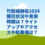 竹田城跡桜2024開花状況や見頃時期は？ライトアップやアクセスや駐車場は？
