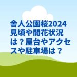 舎人公園桜2024見頃や開花状況は？屋台やアクセスや駐車場は？