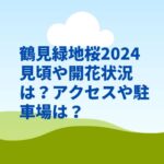 鶴見緑地桜2024見頃や開花状況は？駐車場やアクセスは？